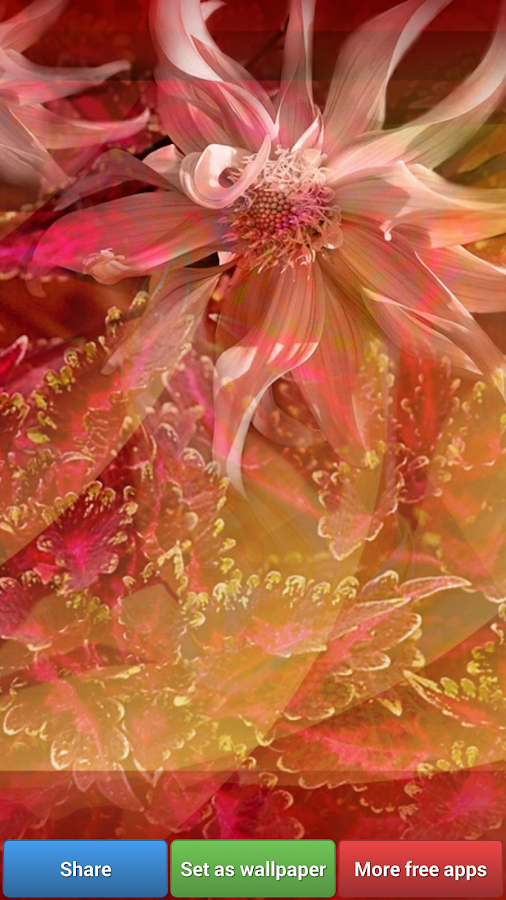 Pretty Red Color HD Wallpapers - Android Apps on Google Play