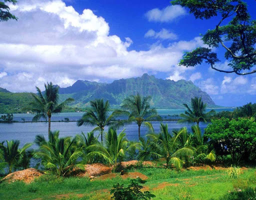 Hawaii Landscape