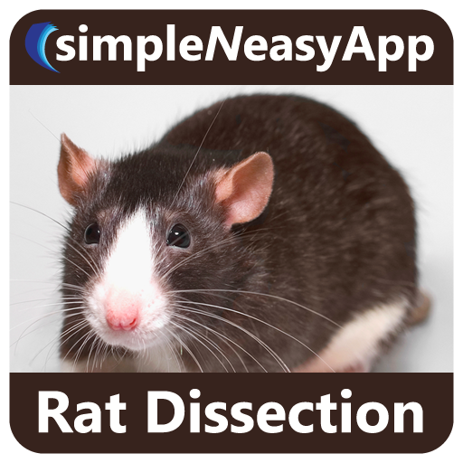 Rat Dissection for tablet LOGO-APP點子