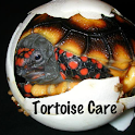 TORTOISE CARE logo