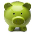 The Pocket Financial Planner logo