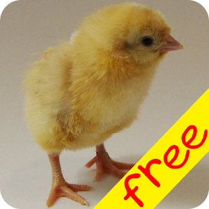 animal farm free text