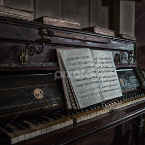 Velho Piano by Marcos Lamas - Artistic Objects Musical Instruments