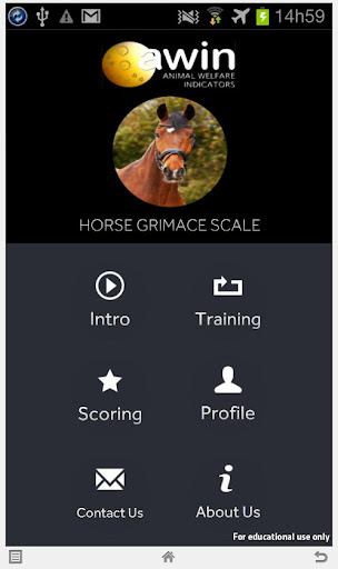 Horse Grimace Scale