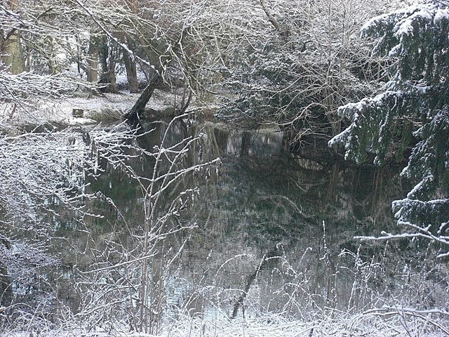 [snowy pond at Traquair[4].jpg]