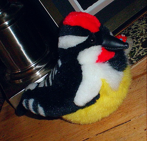 [P319021313.jpg]