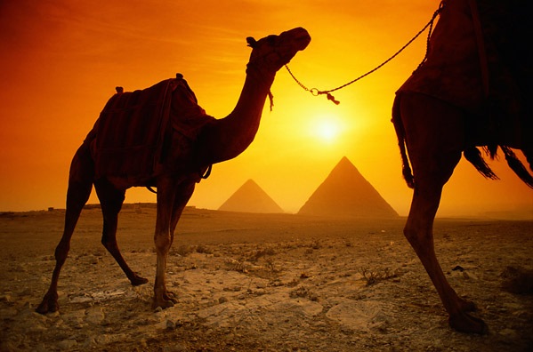 [photo_lg_egypt[3].jpg]