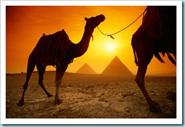 photo_lg_egypt