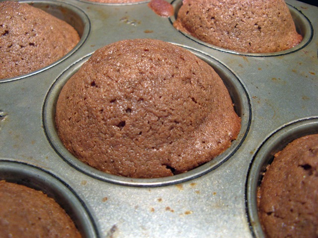 [cocoa muffins 003[3].jpg]