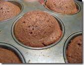 cocoa muffins 003