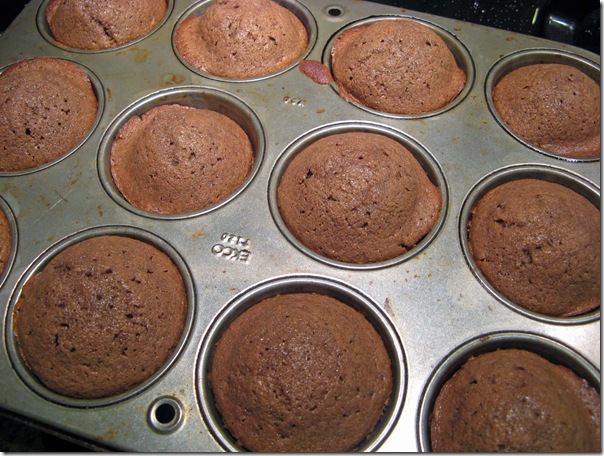 cocoa muffins 004