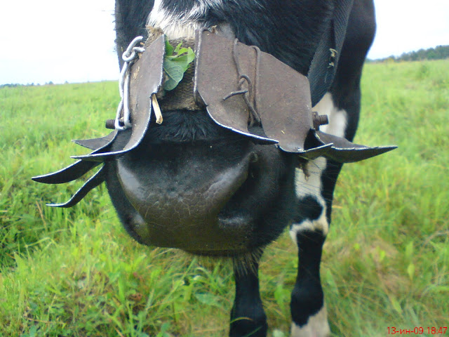 знакомства онлайн play market