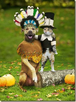 Thanksgiving animals