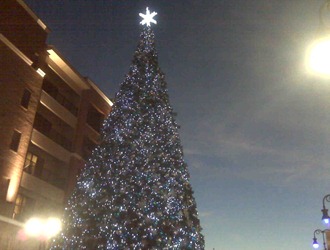 Christmas Tree at Branson Landing