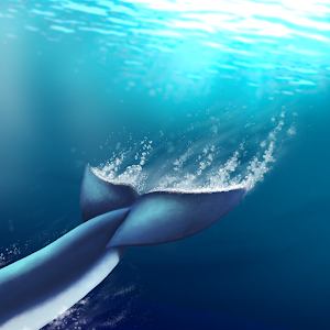 MOFILM Live Briefs 1.1