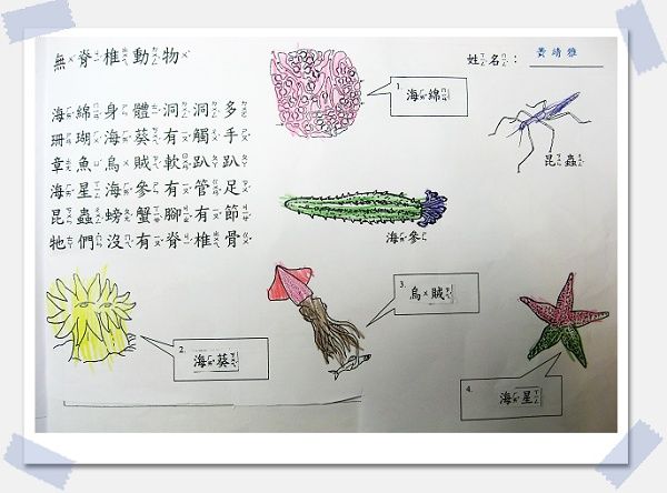 雅學習單 自然課 無脊椎動物 我的寶貝盒子 Nidbox親子盒子