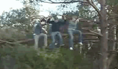 caida-desde-la-rama.gif