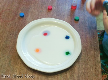 food coloring drops on saucer of milk