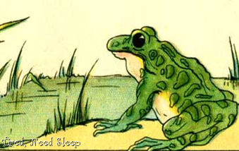 public domain image of frog