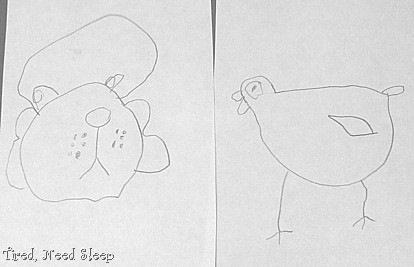 [dogandchicken2.jpg]