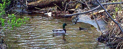 [firsthikeonourtrail62.jpg]