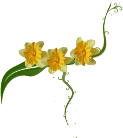 Image4.png