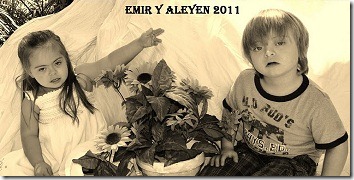 Emir Ayelen1