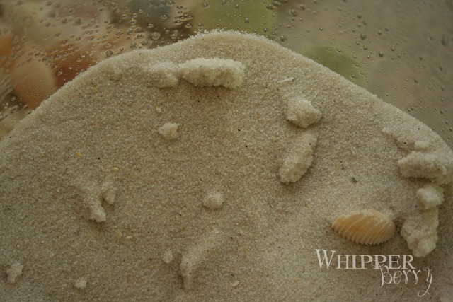 [Wipperberry 1 026[4].jpg]