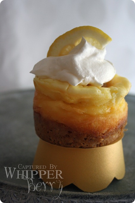 Mini Lemon Curd Cheesecake_edited-1