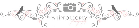 WhipperBerryPhotographyLogo