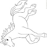 caballo galope.gif.jpg