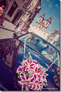 Свадебный фотограф в Праге (9)