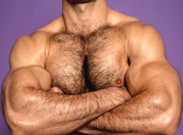 Muscle Daddy and Hairy Muscular Men - Gallery 7