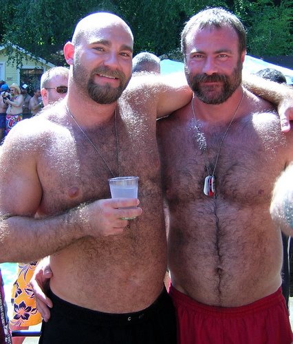 Gay Bear Знакомства В Нижнем Новгороде