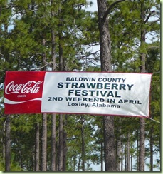Strawberry Festival 2010