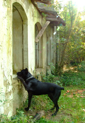 101019%20111.jpg