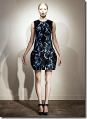 Erdem Pre-Spring 2011 Printed Dresses Look 4