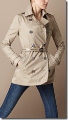 Burberry Spring Summer 2011 April Showers Collection 5