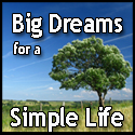 Big Dreams For A Simple Life