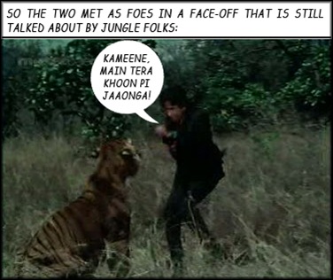 Shashi fights the tiger