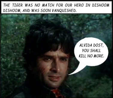 Shashi killed the tiger