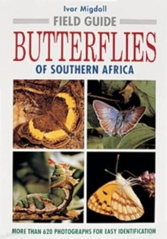 Butterflies Old World Avian Review