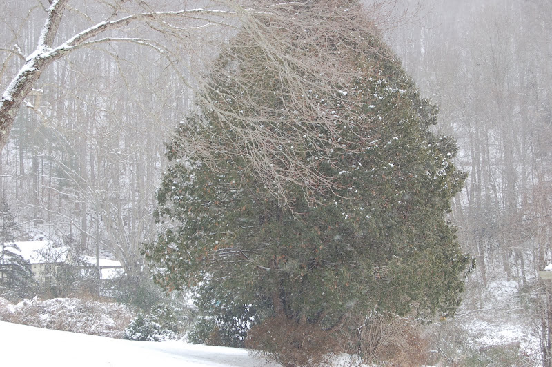 DSC_4713.JPG