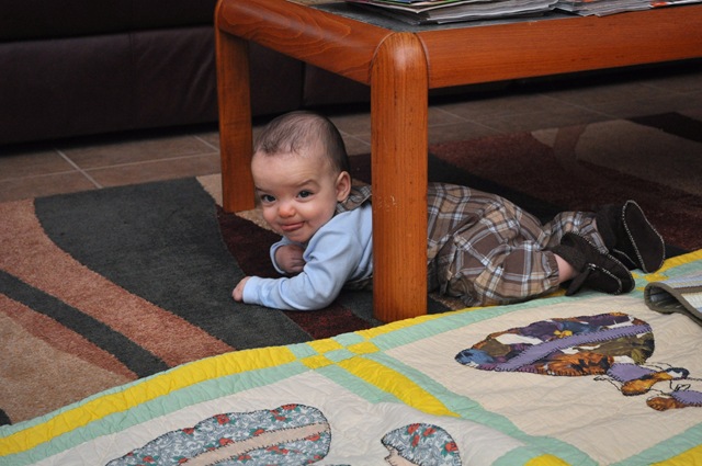 [Somebody has learned to crawl[4].jpg]