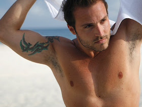 Big Brother Brazil 8 Model Fernando Mesquita Wet