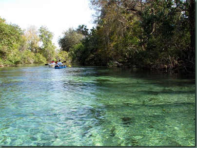 Weeki Wachee River