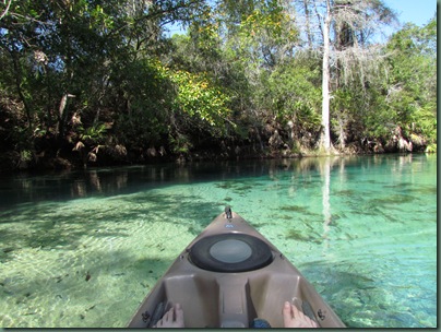 Paddling the Weeki Wachee River