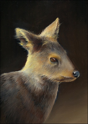 pudu painting by Jean Bradbury 