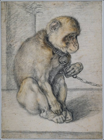 Hendrik_Goltzius - Monkey on a chain - 1597