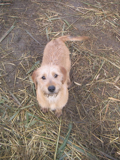 2009_1231_105216AA_resize.JPG